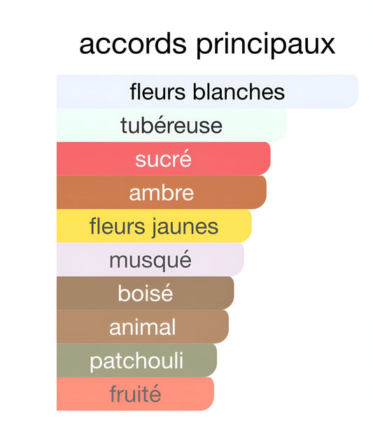 FRENCH STORY EDP 100 ML - fragnance world